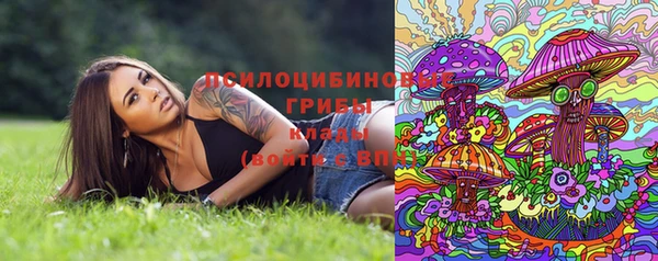 стафф Куйбышев