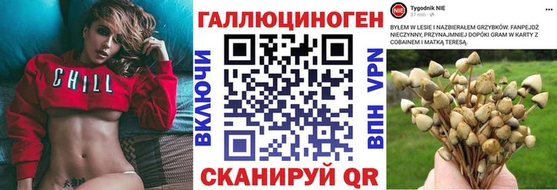 купить наркотики сайты  Лахденпохья  Псилоцибиновые грибы GOLDEN TEACHER 
